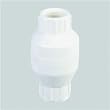 Mueller/B & K 101-104 PVC Check Valves, Threaded