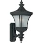 Quoizel DE8959K Devon 21-Inch Medium Wall Lantern with Linear Frosted Glass, Mystic Black