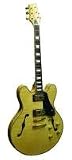 Kona Flamed Maple Semi Hollow Body Electric with Custom Fit Case