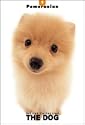 THE DOG Artlist - Pomeranian - Hand Book - 6 Postcards