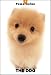   - THE DOG Artlist - Pomeranian - Hand Book - 6 Postcards