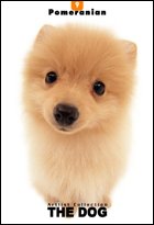image link - - B000IZ3Z7W