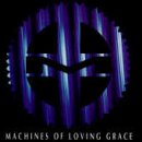 Machines of Loving Grace -  Rite of Shiva