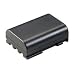 Canon Replacement PowerShot S50 digital camera battery
