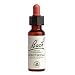 Personal Health Care : Bach Flower Remedies, Honeysuckle 20 ml