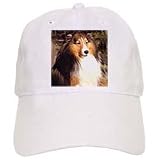 Dogs Sable Border Collies - Sable Border Collie - Caps