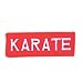 21P984AQFRL. SL75  Patch   Karate emblem
