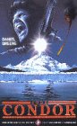 Code Condor - Daniel Greene