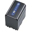 Sony - NP-QM91 M Series Lithium Ion Replacement Battery