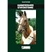 Hannoveraner Stutenst�mme: Band 2. Hannoveraner Stutenst�mme