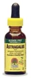 Astragulus (Alcohol Free) LIQ (1z )