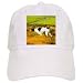 Dogs The Pointer - The Pointer Dog - Caps
