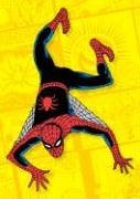 Spider-Man Journal