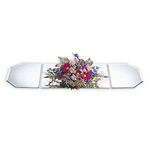 DISPLAY AND STORAGE 12X36 MIRROR TBL RNR