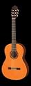 Classical Guitar By Yamaha Model C-40