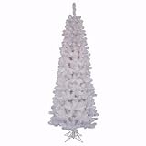 White Salem Pencil Pine 54