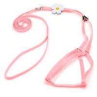 Lil Pals Daisy Harness