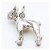boston terrier - Dog Boston Terrier Charm