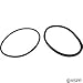 Zodiac R0446200 Lid Seal and Lid O-Ring Replacement for Select Zodiac Jandy Pool and Spa Pumps