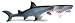 Jaw-Snapping Shark