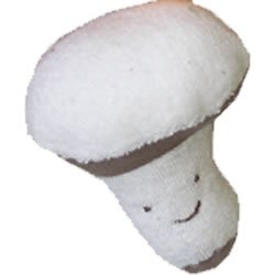 Under the Nile Organic Cotton Mushroom