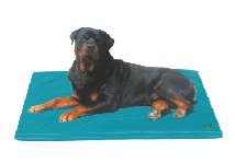 Canine Cooler Bed - Medium: (24 x 36)