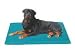 Pet Supplies : Canine Cooler Bed - Large: (36" x 48")