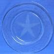 Individually Hand Etched Starfish Glass Dinner Plate 9.5"D Set / 2