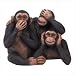 See Hear Speak No Evil Monkeys