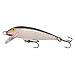 Sporting Goods : Maurice Sporting Goods #F09S Rapala 09 Silver Fish Lure
