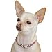 Beau Nouveau BNCOHWEBL07.5 Hollywood Collar - 0.375 Inch -Ebony Buttery Leather - 6 - 7.5 Inch