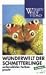 Wunderwelt der Schmetterlinge
