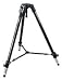 Manfrotto