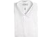 Izod Easy Care Cotton Pinpoint Dress Shirt - Spread Collar