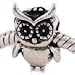 Believe Beads x1 Owl Charm Bead will fit Pandora/Troll/Chamilia Style Charm Bracelet, slide on slide off charm bead.