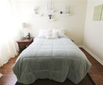 College Plush Comforter - Rain mist