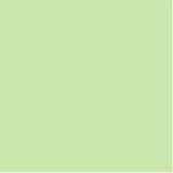 Miraclesuit Women's "Colorblock Blockbuster" V-Neck Underwire, Spearmint, 12