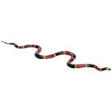 Safari 257429 Coral Snake Animal Figure - Sold As Single Piece