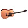Washburn Dreadnaught Acoustic Guitar G30