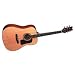 WASHBURN Dreadnaught Acoustic Guitar G30