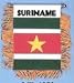 4 x 6 Suriname Mini Banner (1 Dozen)
