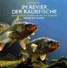 Im Revier der Raubfische. Hecht, Barsch, Zander, Lachse und Forellen - finden und fangen - Pierre Affre