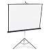 Quartet Portable Tripod Projection Screen, 60 x 60 Inches, High-Resolution, Matte Surface (560S)