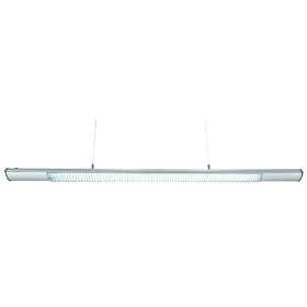 Lite Source LS-1846SILV Bryce Ceiling Lamp, Silver