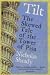 Tilt: The Skewed Tale of the Tower of Pisa