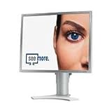 Produkt-Bild: NEC LCD-1990SXI 48,3 cm (19 Zoll) TFT Monitor DVI silber/hellgrau (Kontrast 600:1, Reaktionszeit 9 ms)
