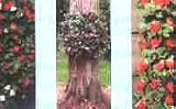 Plant Holder: Flower Garden Sock 3pk