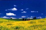 Cover image : 四季の詩 1000ピース 菜の花と大地 (北海道・美瑛) (50cm×75cm、対応パネルNo.10)