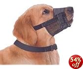 This item last updated: Nov 08, 2010
