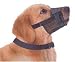 Adjustable Dog Grooming Muzzle - MEDIUM, fits snout size 6-7 1/2